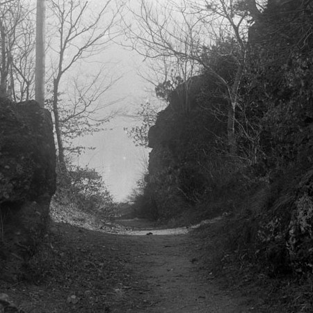 Scorcio di un angolo del monte di Portofino 1912